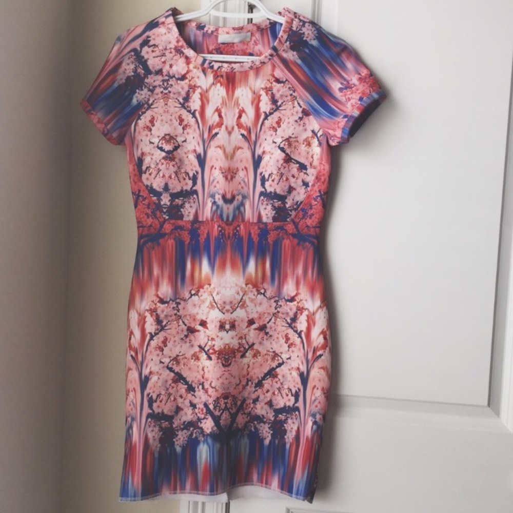 Zara Cherry Blossom Pink Print Dress